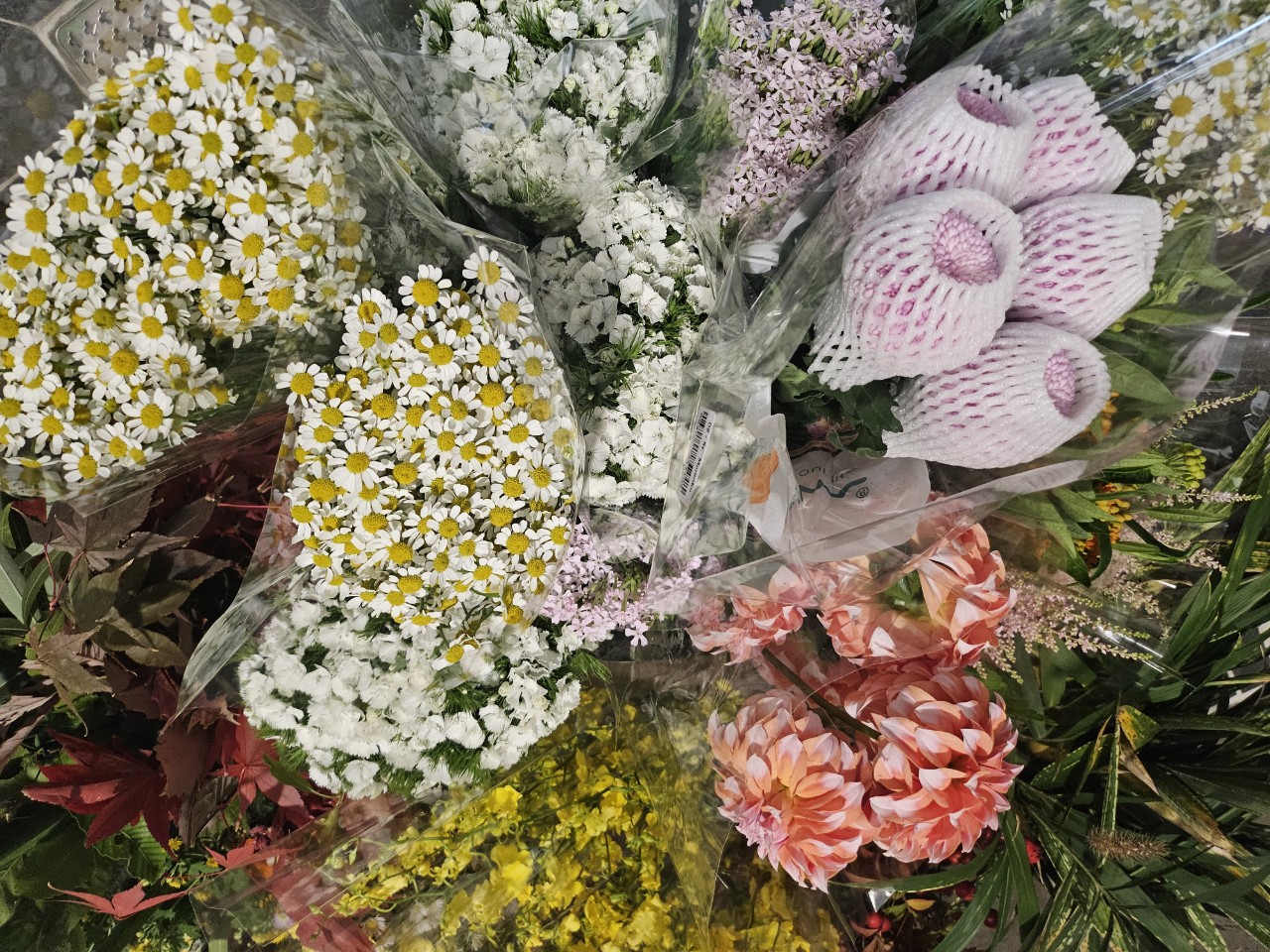 더힐실버타운 Family_사진_20251112_2.jpg