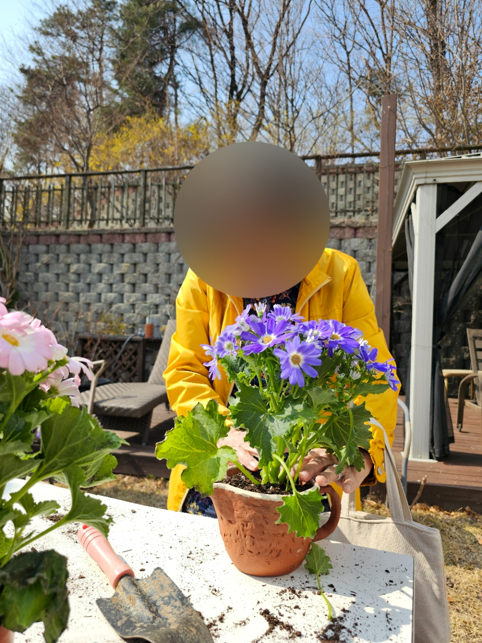 더힐실버타운 Family_사진_20260325_17.jpg