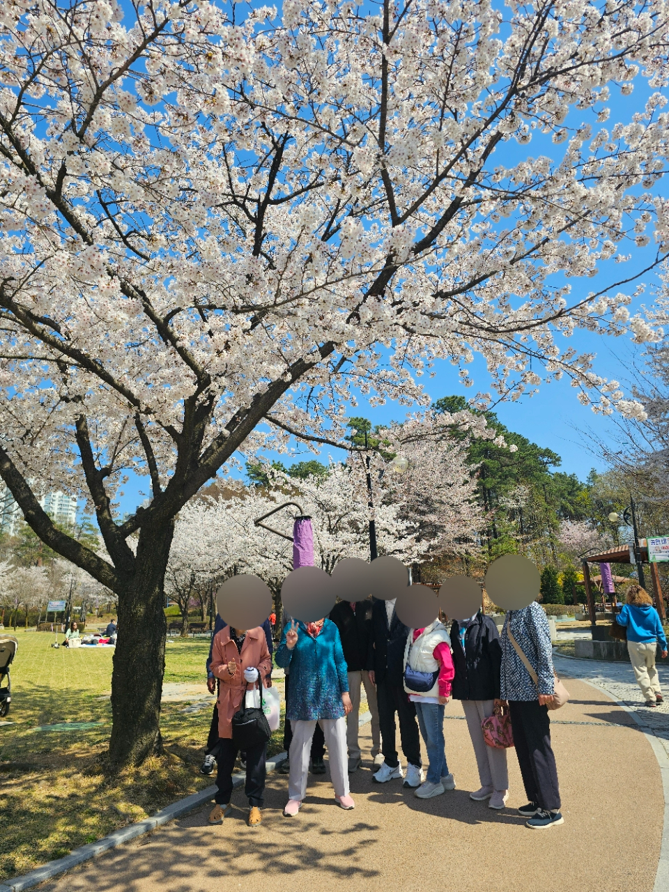 더힐실버타운 Family_사진_20260408_16.jpg