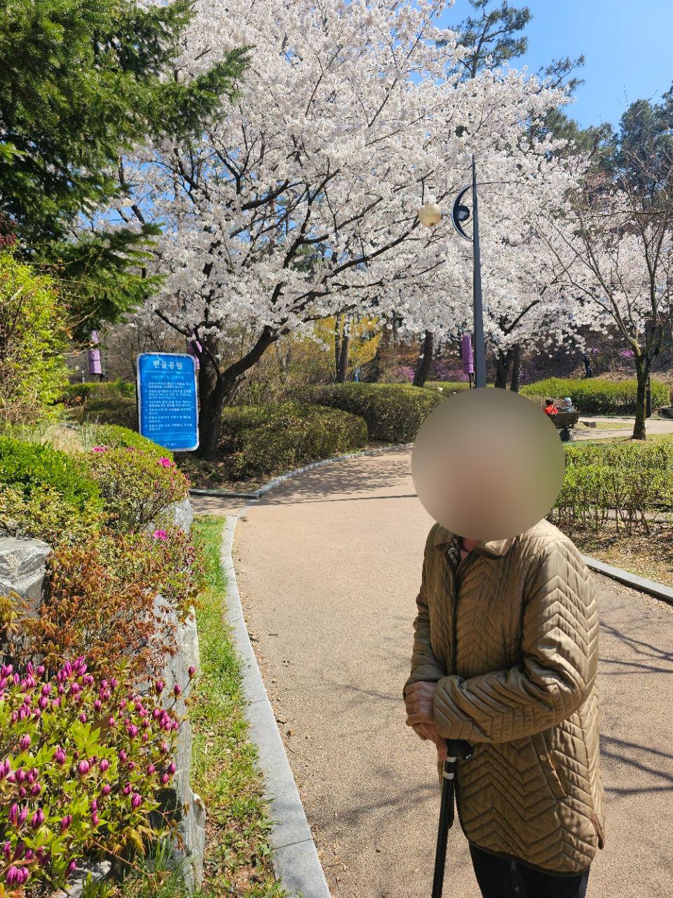 더힐실버타운 Family_사진_20260408_31.jpg